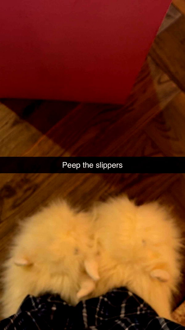 kalogerassunday snapchat image archive image