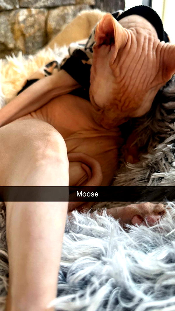 kalogerassunday snapchat image archive image
