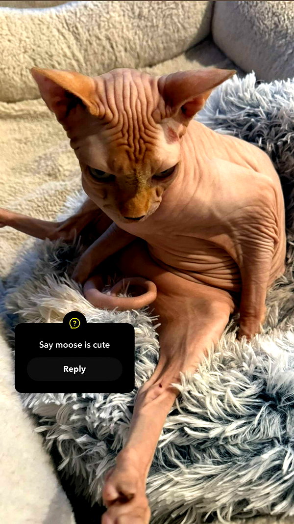 kalogerassunday snapchat image archive image