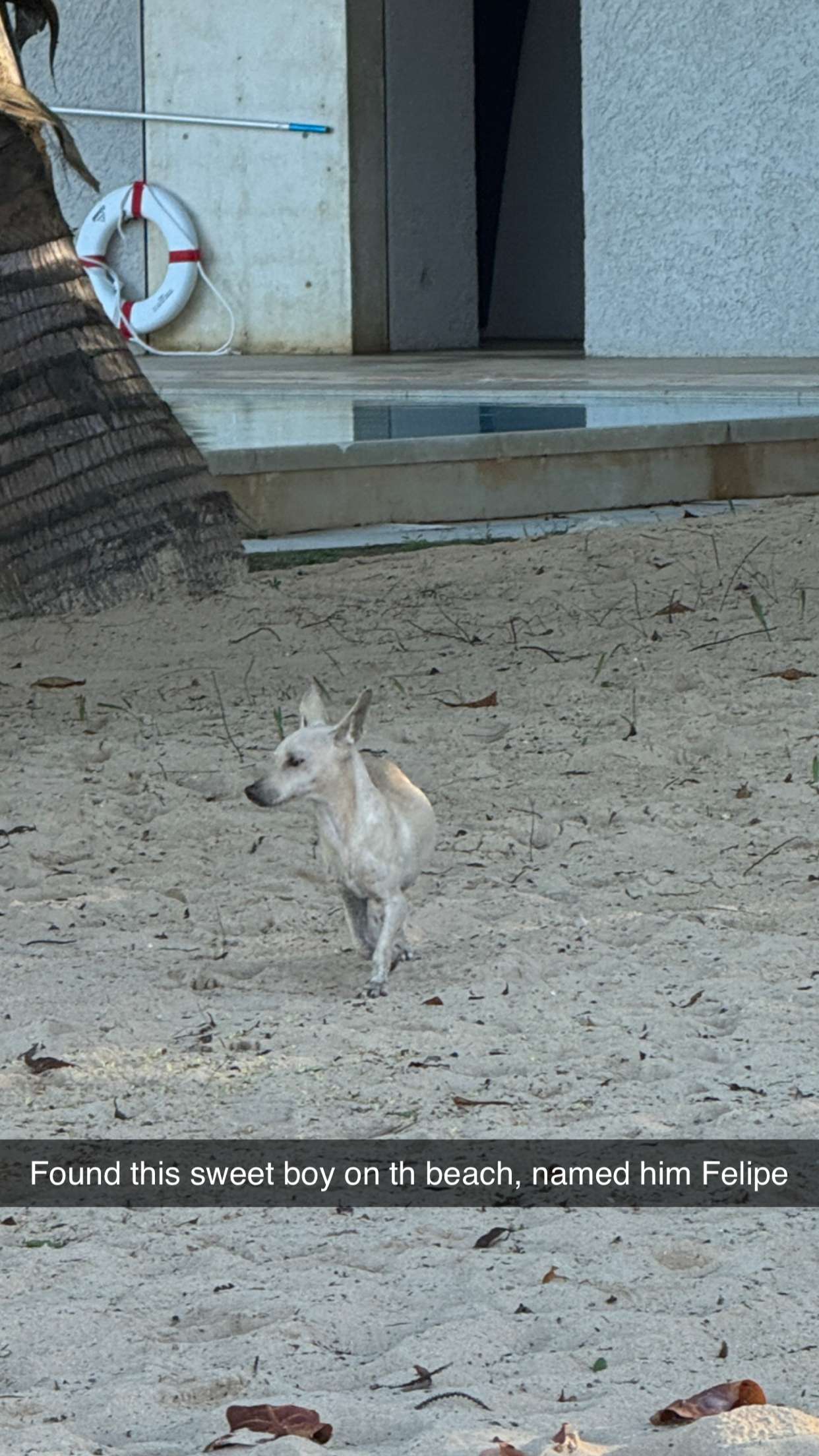 karajewelll snapchat image archive image