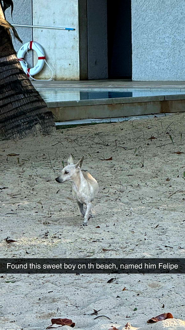 karajewelll image ~ Altpins