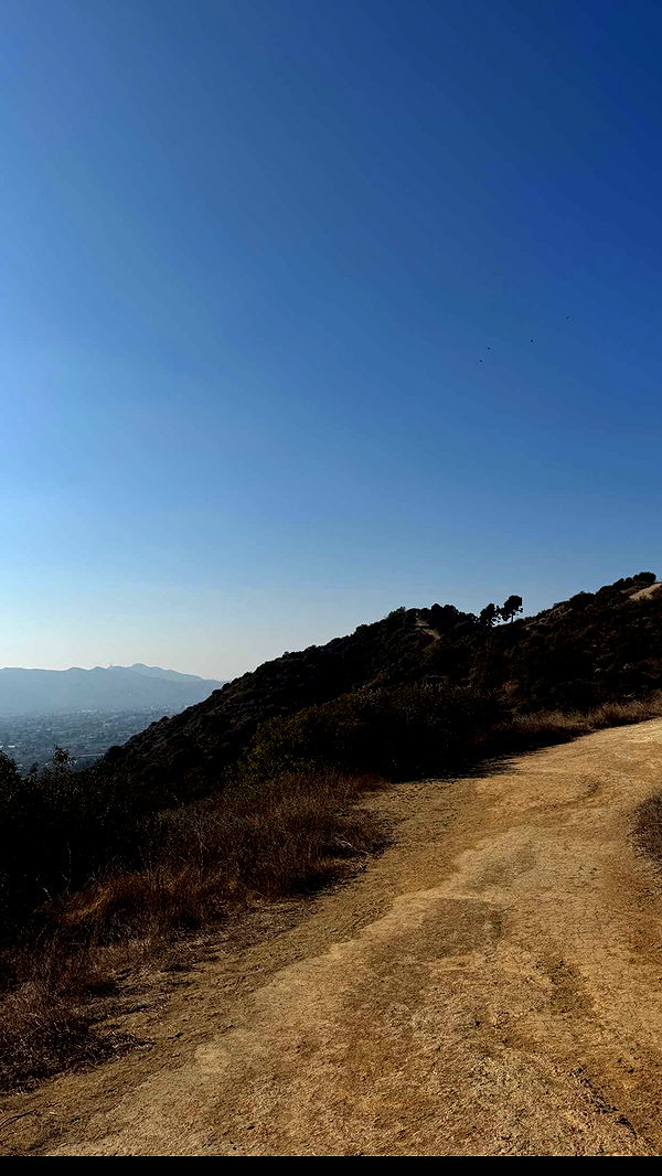 karajewelll image ~ Altpins