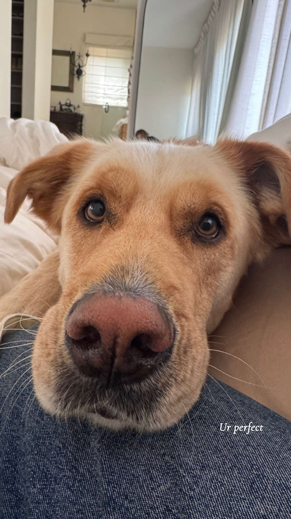 karajewelll snapchat image archive image