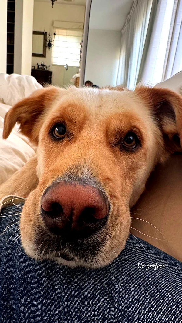 karajewelll image ~ Altpins