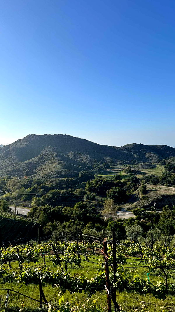 karajewelll image ~ Altpins