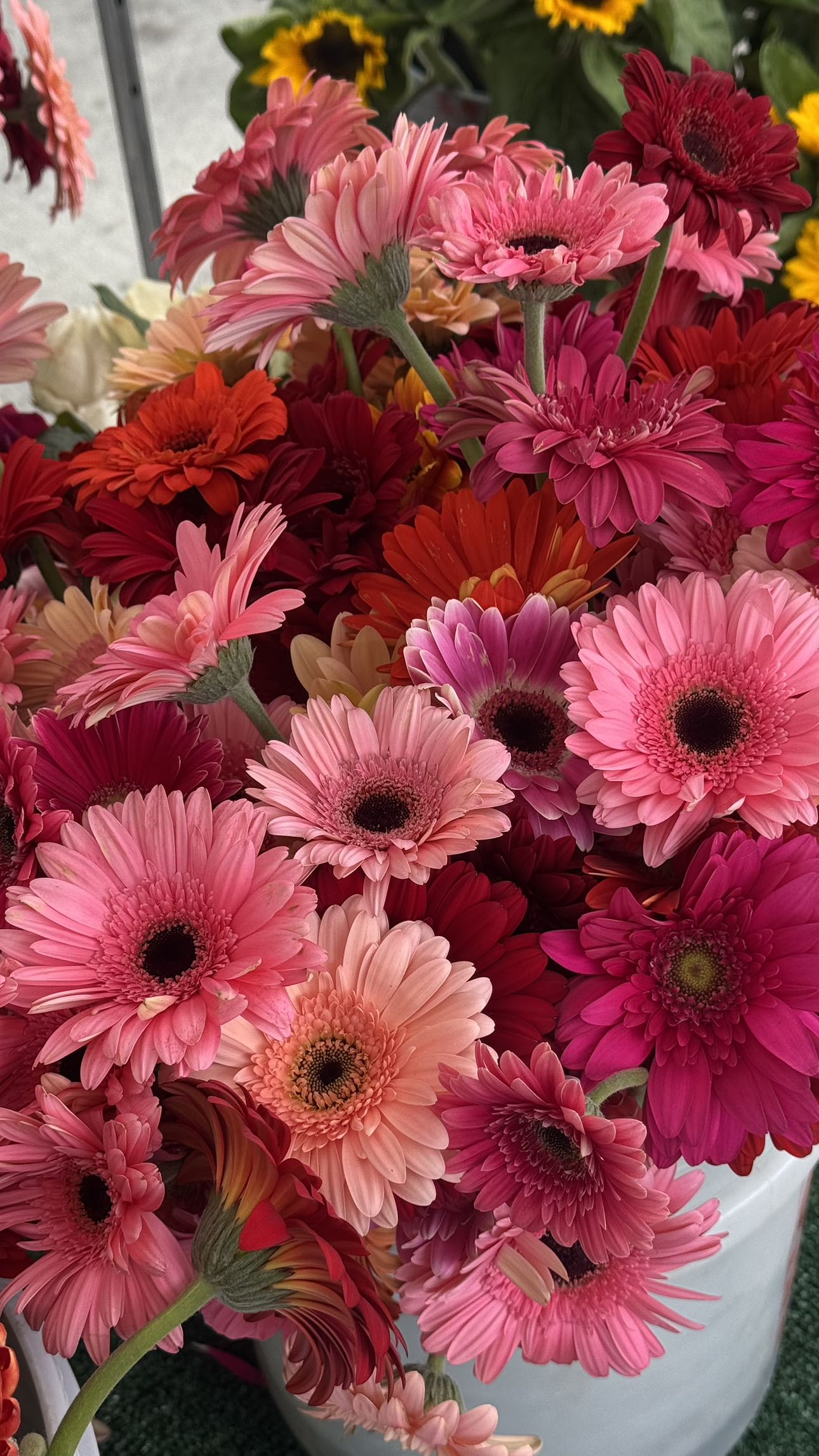 karajewelll snapchat image archive image