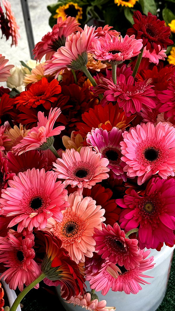 karajewelll image ~ Altpins