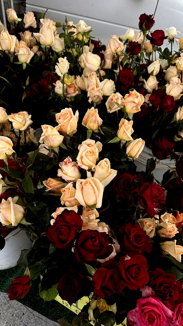 karajewelll image ~ Altpins