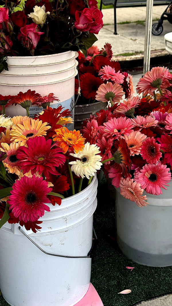 karajewelll image ~ Altpins