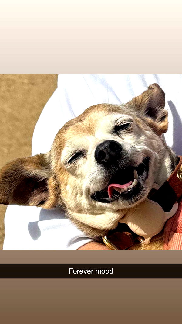 karajewelll image ~ Altpins