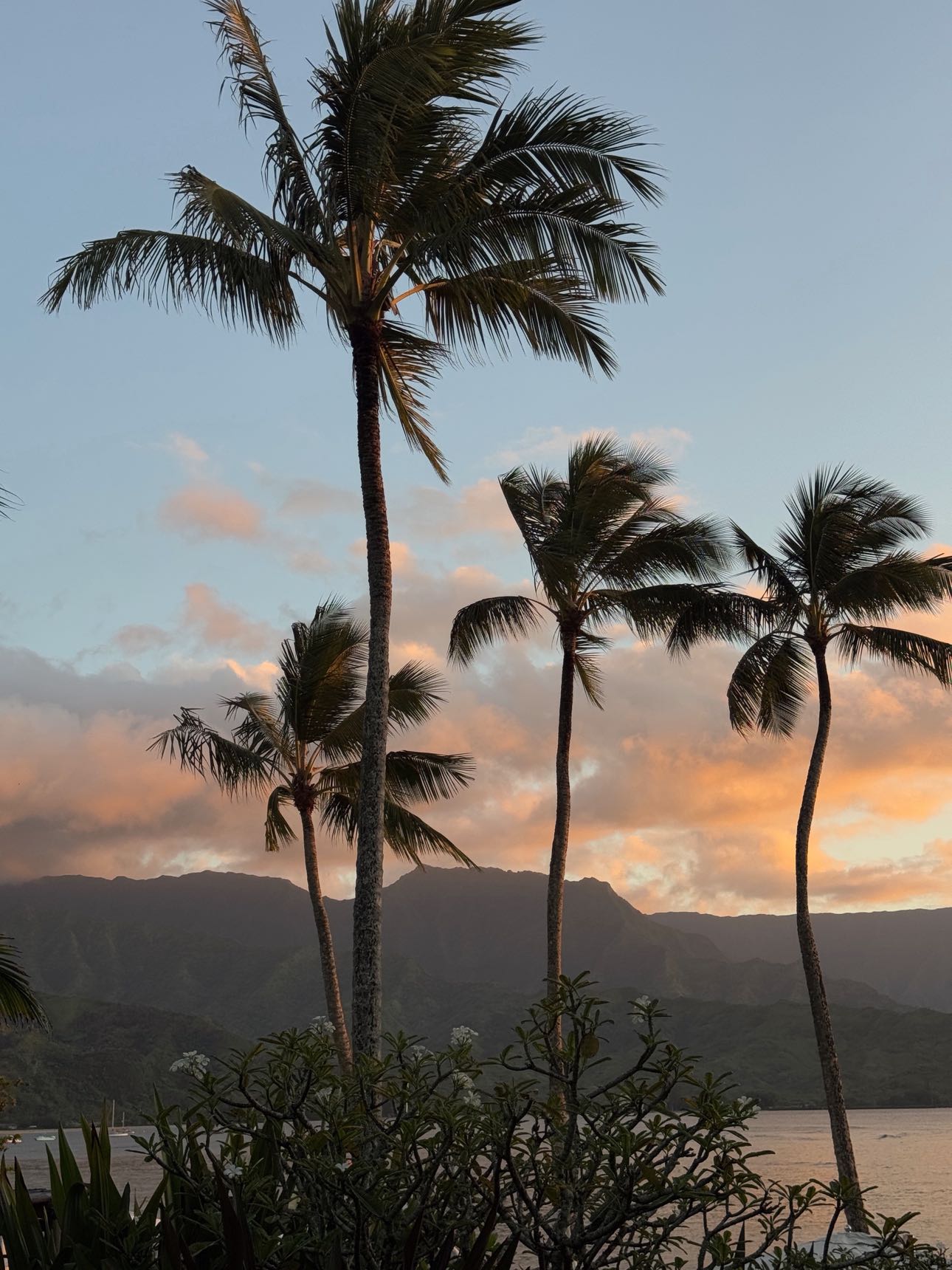 karajewelll snapchat image archive image