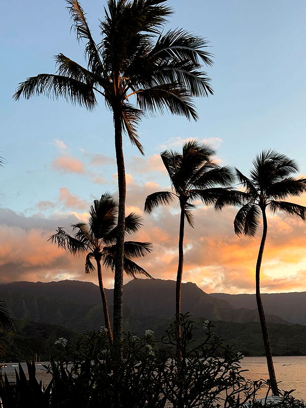 karajewelll image ~ Altpins