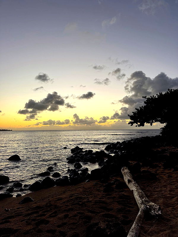 karajewelll image ~ Altpins