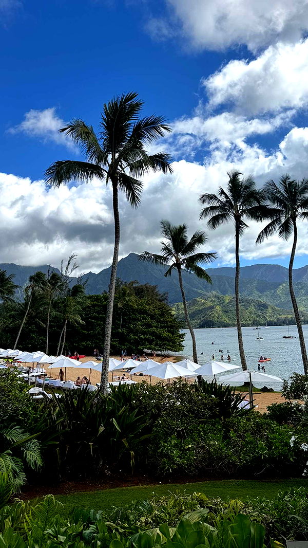 karajewelll image ~ Altpins