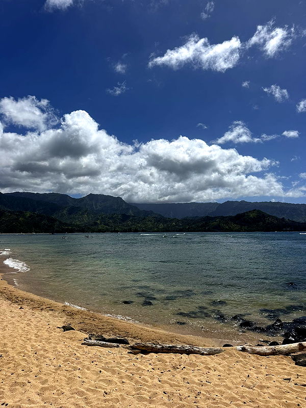 karajewelll image ~ Altpins