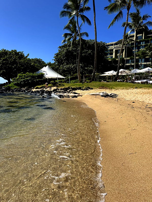 karajewelll image ~ Altpins