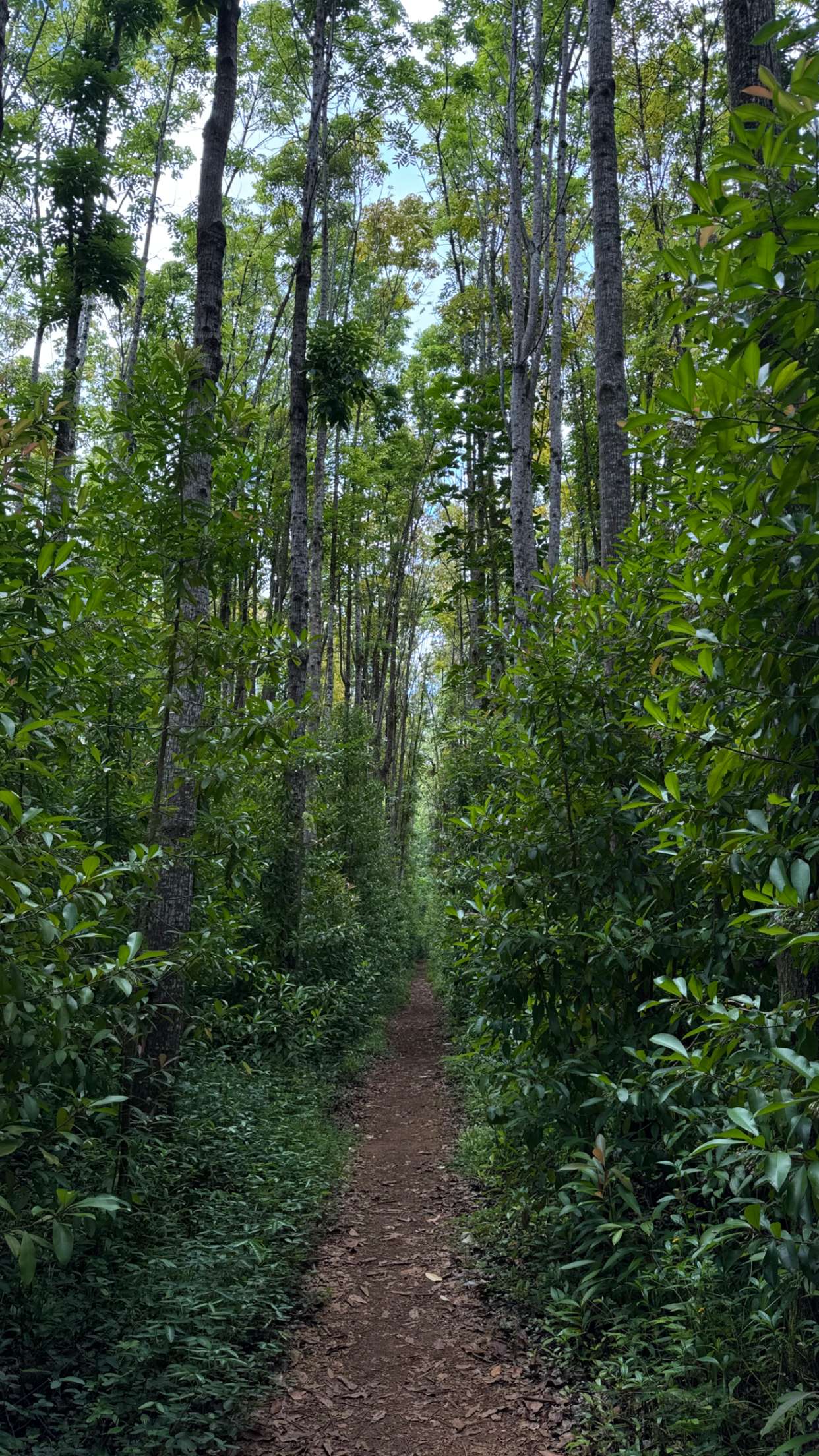 karajewelll snapchat image archive image