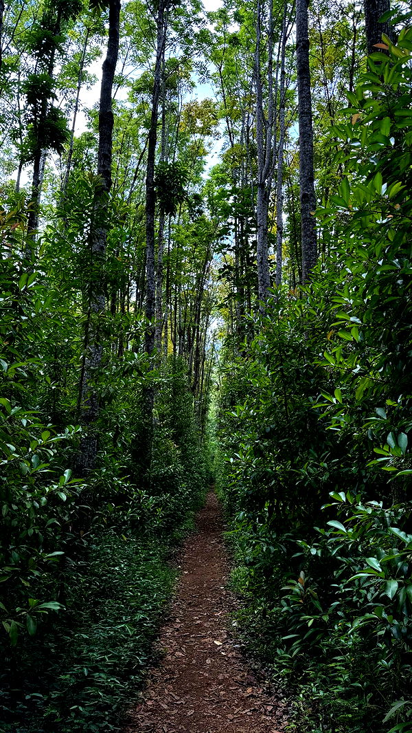 karajewelll image ~ Altpins