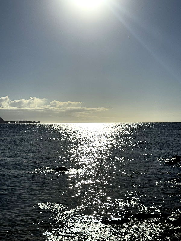 karajewelll image ~ Altpins