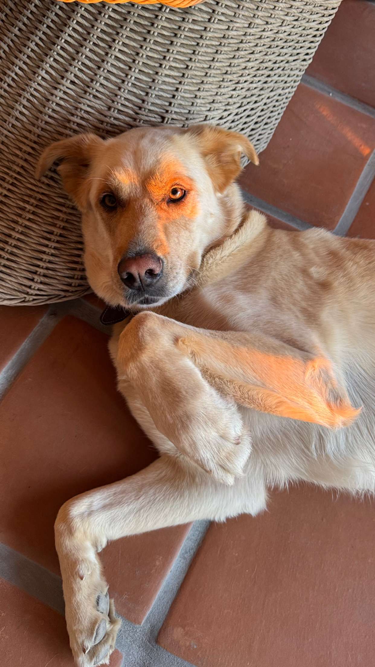 karajewelll snapchat image archive image