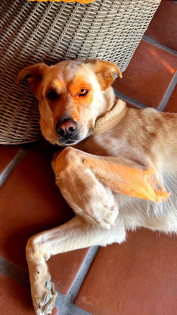 karajewelll image ~ Altpins