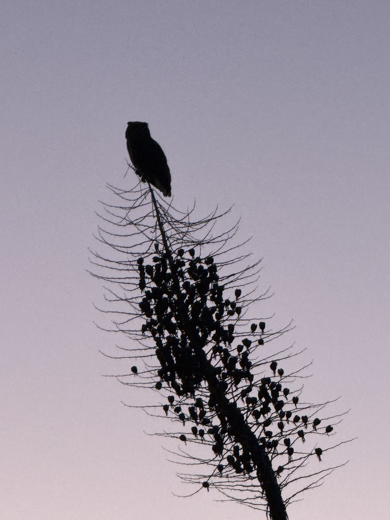 karajewelll snapchat image archive image