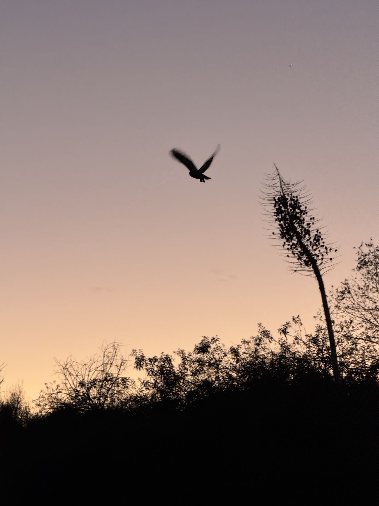 karajewelll snapchat image archive image