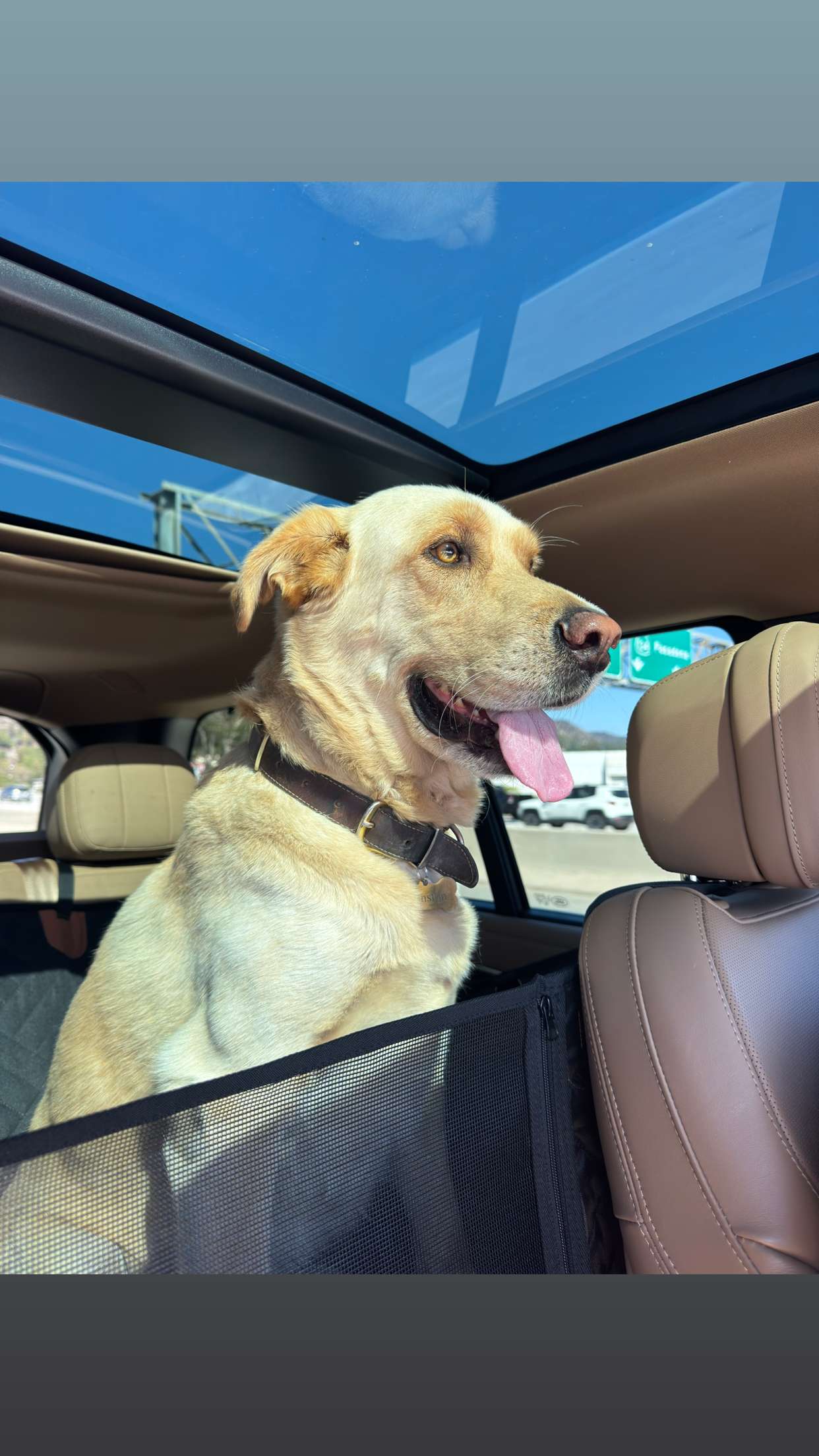 karajewelll snapchat image archive image