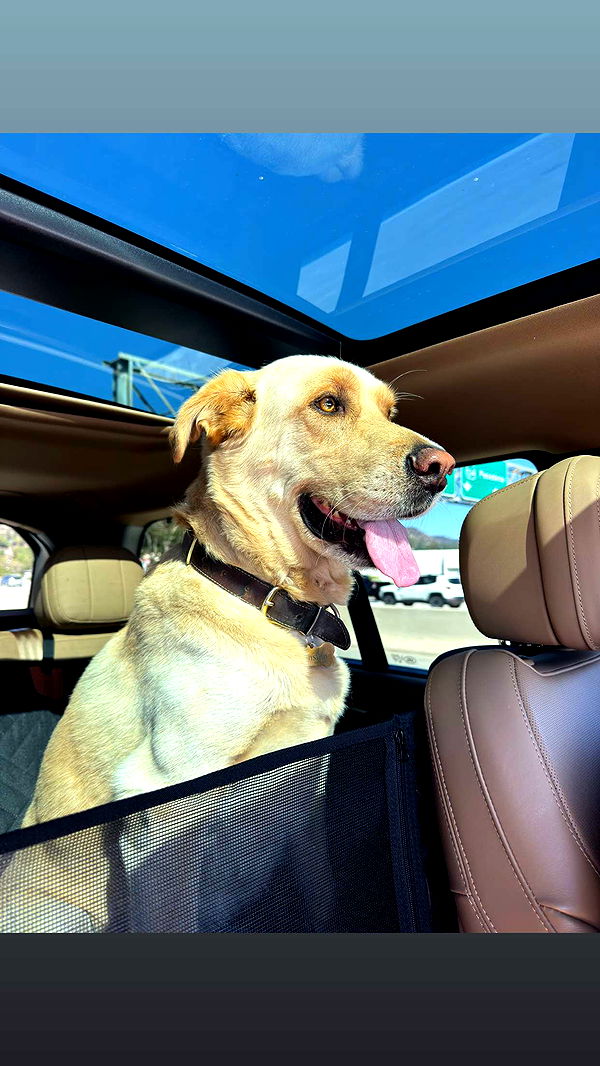 karajewelll image ~ Altpins