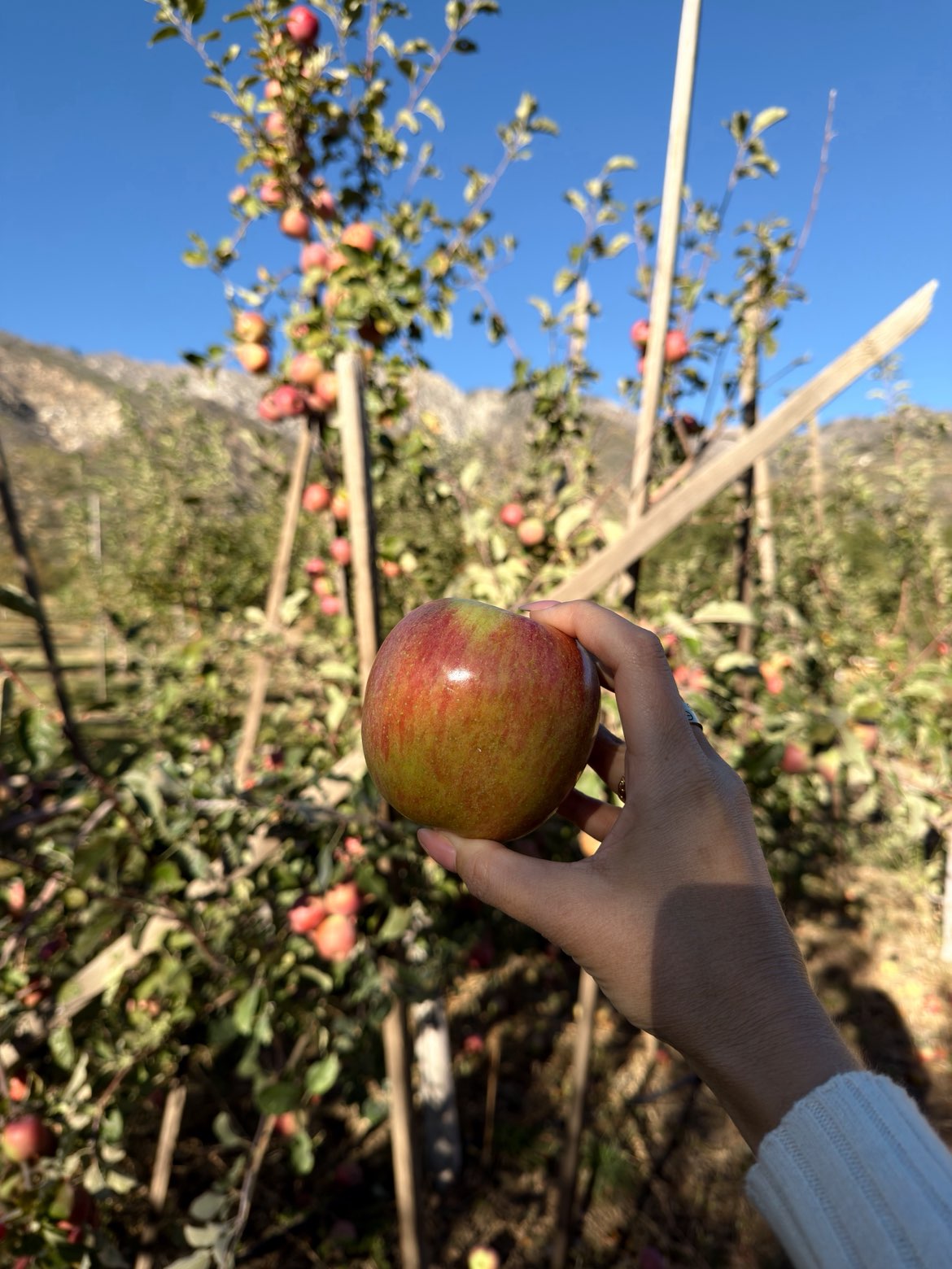 karajewelll snapchat image archive image