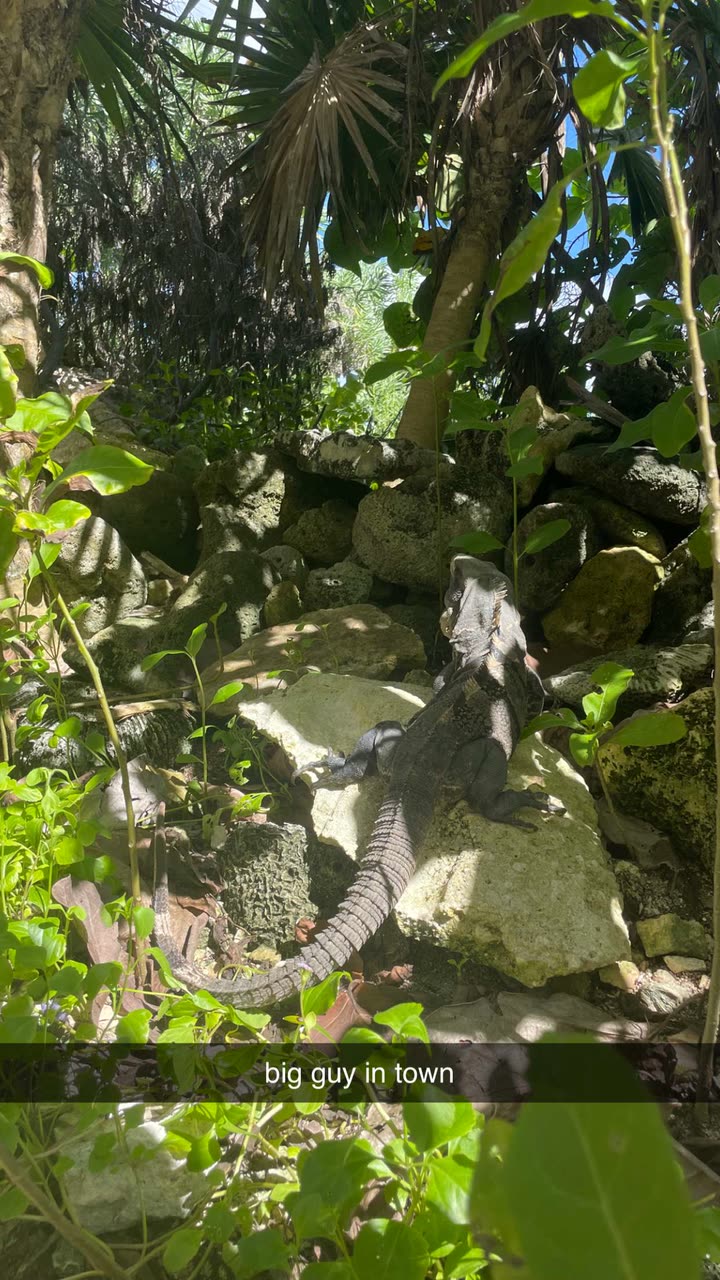 kaygcarlson snapchat image archive image