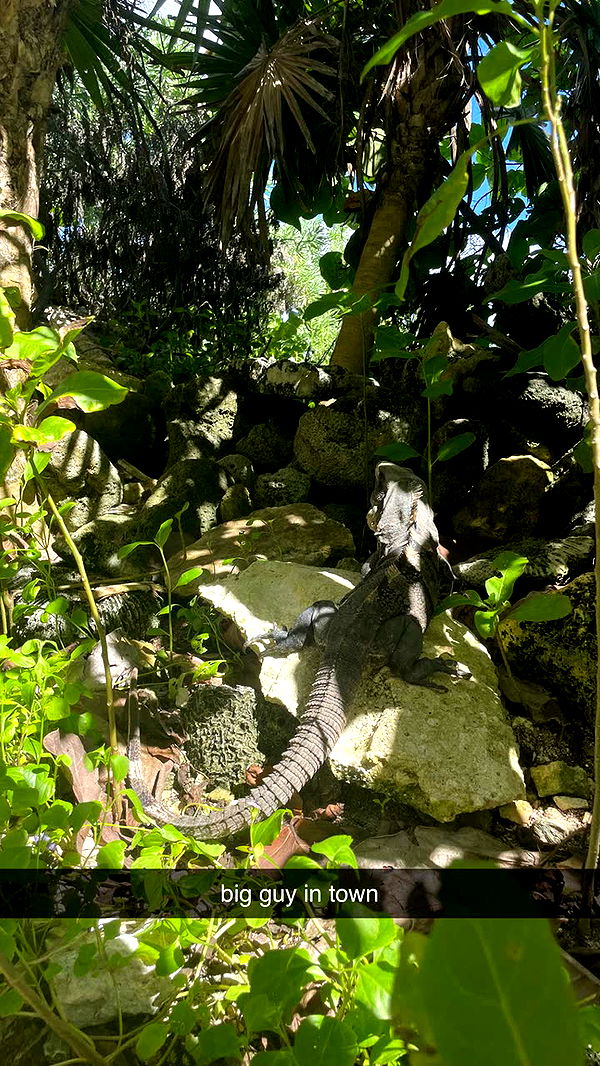 kaygcarlson image ~ Altpins