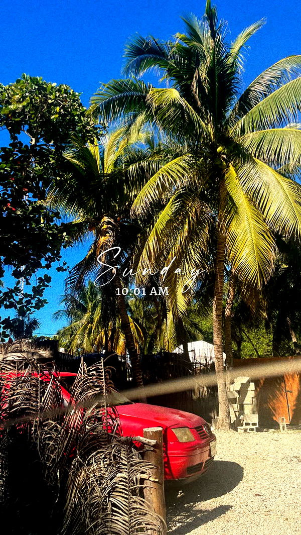 kaygcarlson image ~ Altpins