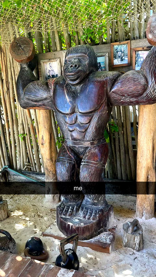 kaygcarlson image ~ Altpins