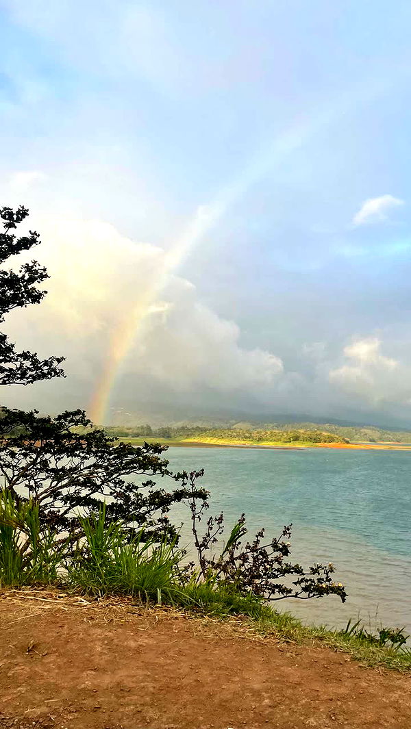 kaygcarlson image ~ Altpins