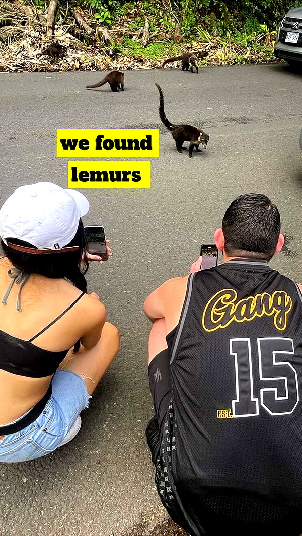 kaygcarlson image ~ Altpins