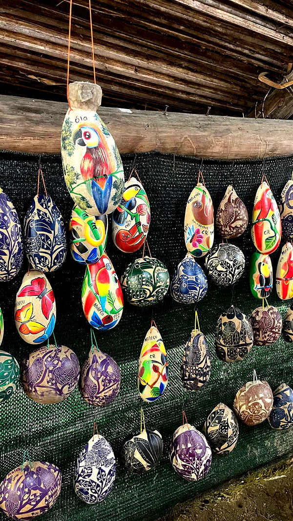 kaygcarlson image ~ Altpins