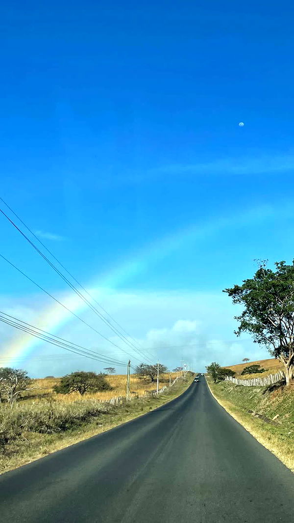 kaygcarlson image ~ Altpins