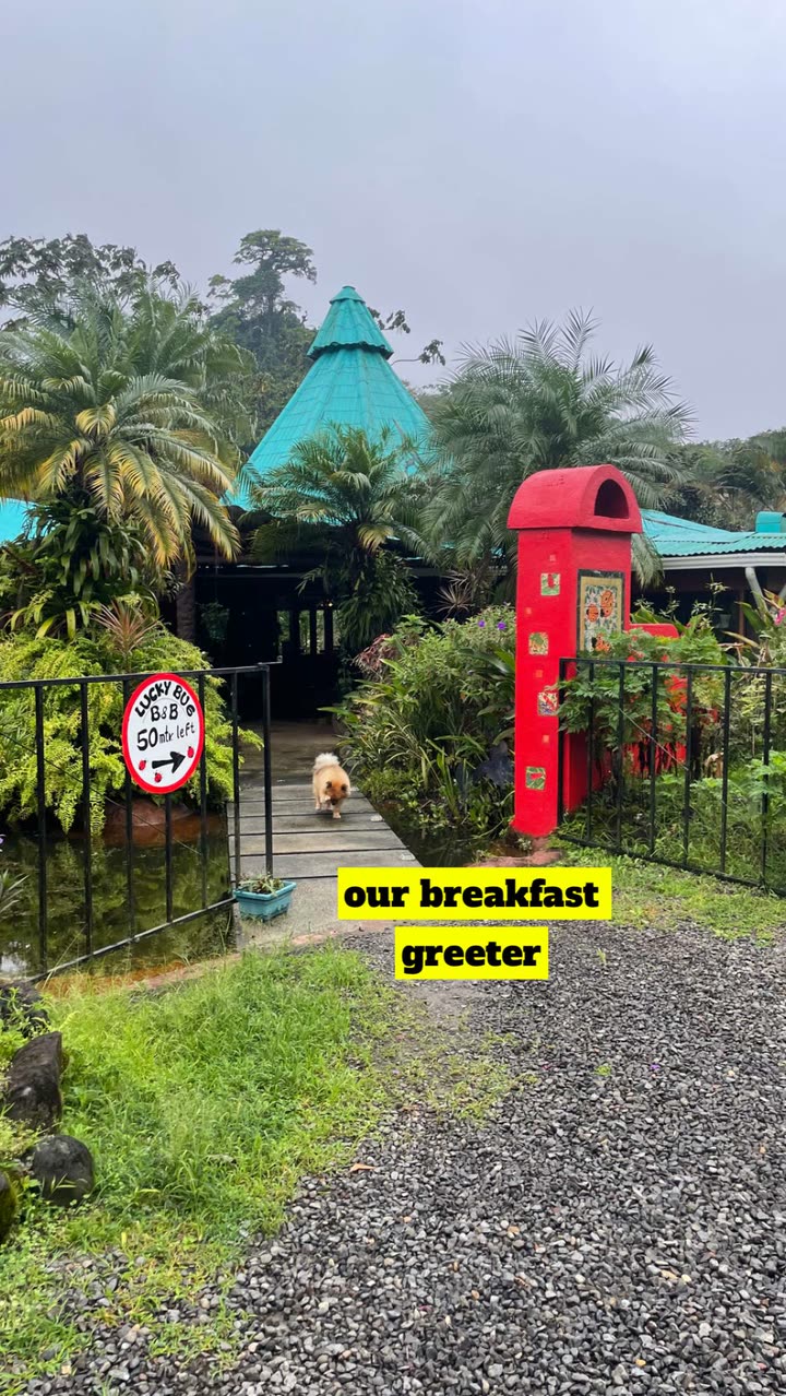 kaygcarlson snapchat image archive image