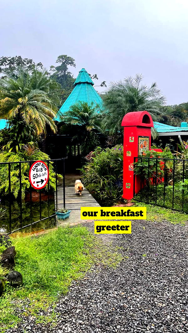 kaygcarlson image ~ Altpins