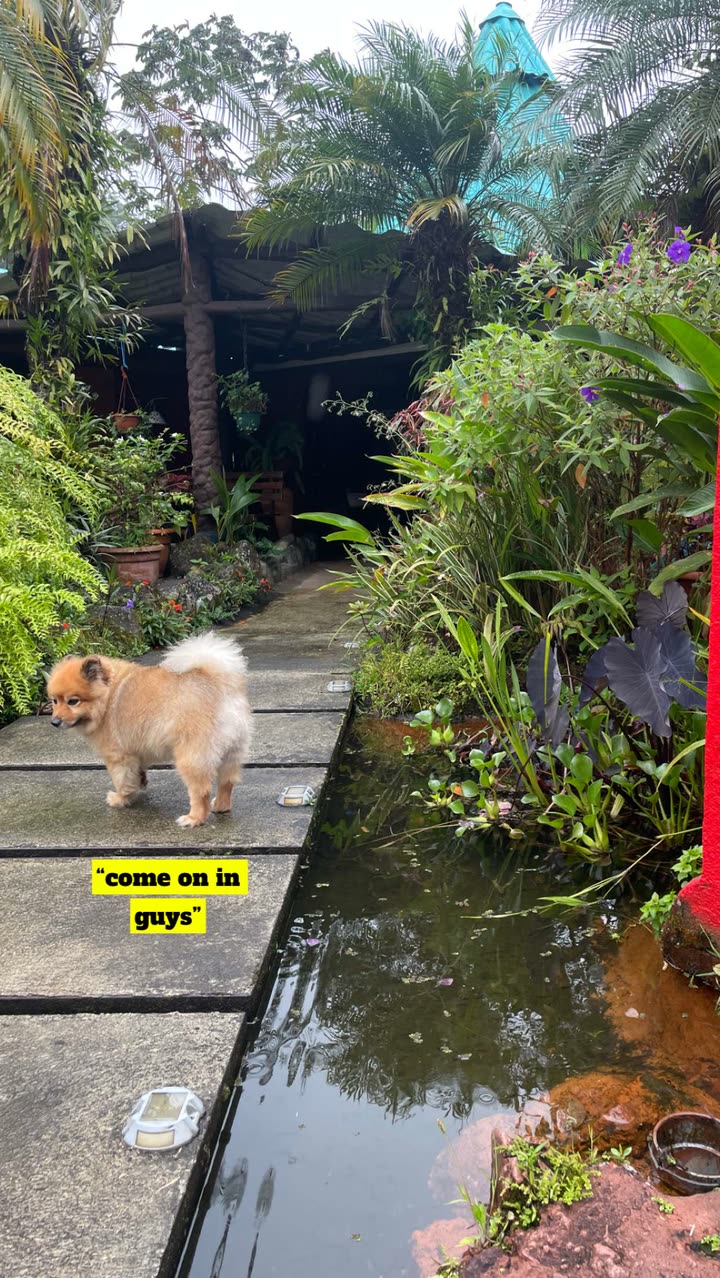 kaygcarlson snapchat image archive image