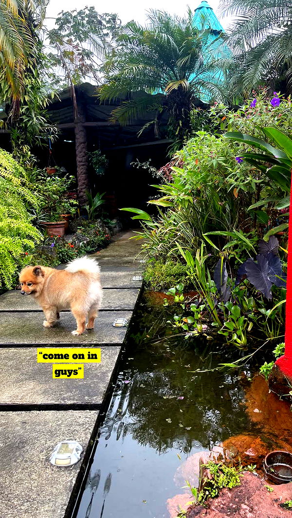 kaygcarlson image ~ Altpins