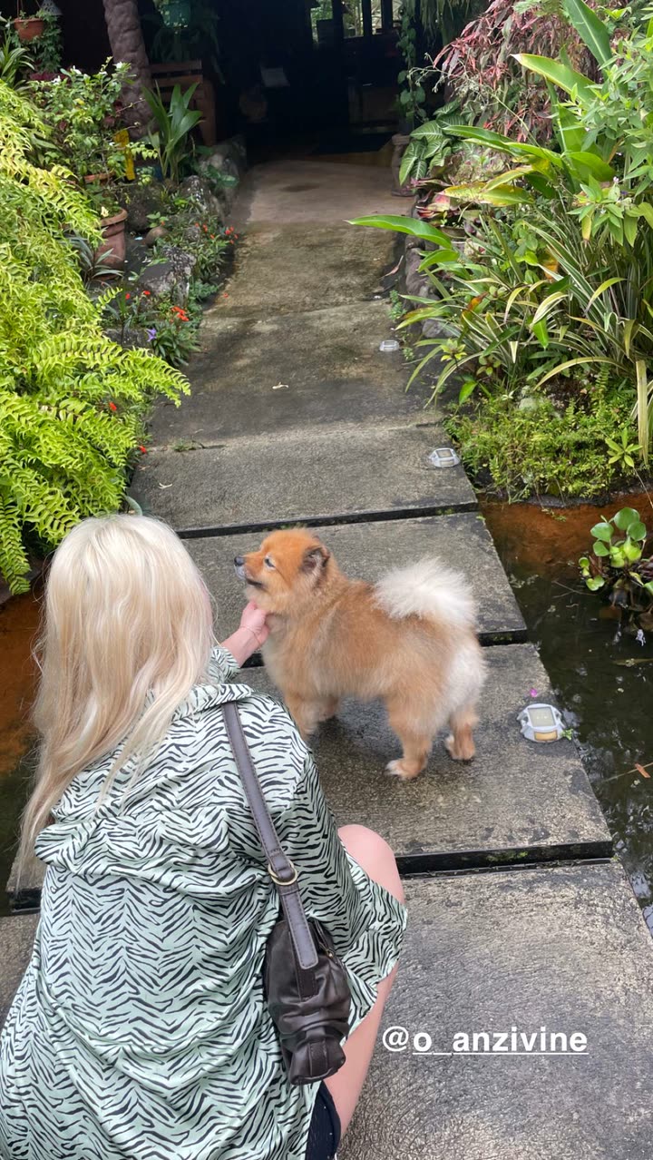 kaygcarlson snapchat image archive image