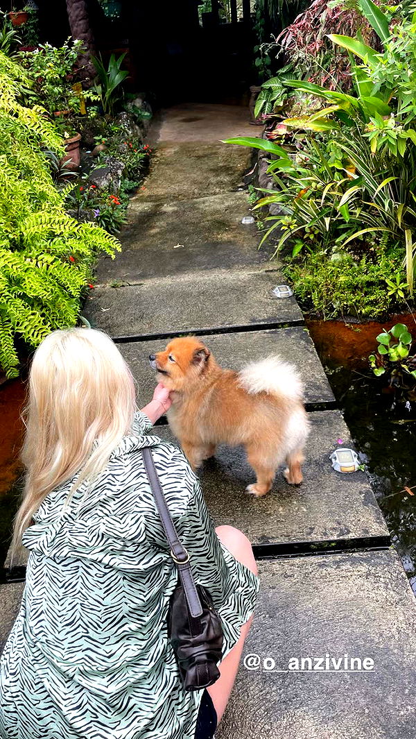 kaygcarlson image ~ Altpins