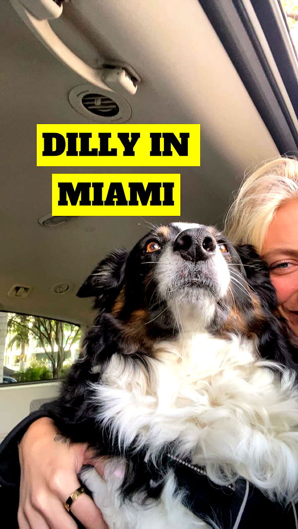 kaygcarlson image ~ Altpins