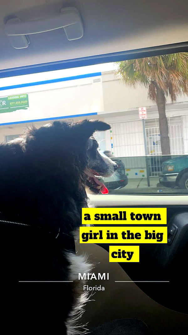 kaygcarlson image ~ Altpins