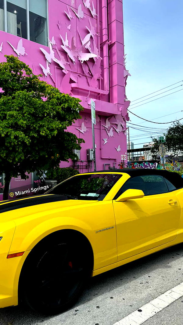 kaygcarlson image ~ Altpins