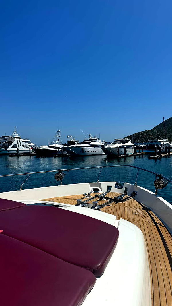 kaygcarlson image ~ Altpins