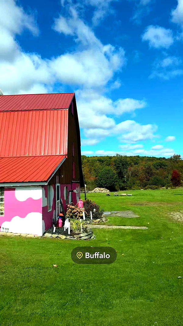 kaygcarlson image ~ Altpins