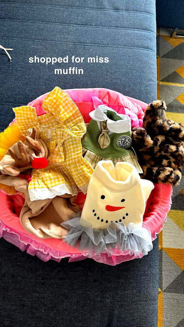 kaygcarlson image ~ Altpins